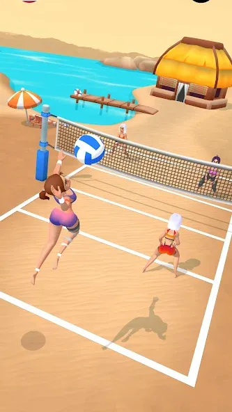 Beach Volleyball Game (Бичволлейбол игра)  [МОД Бесконечные деньги] Screenshot 1