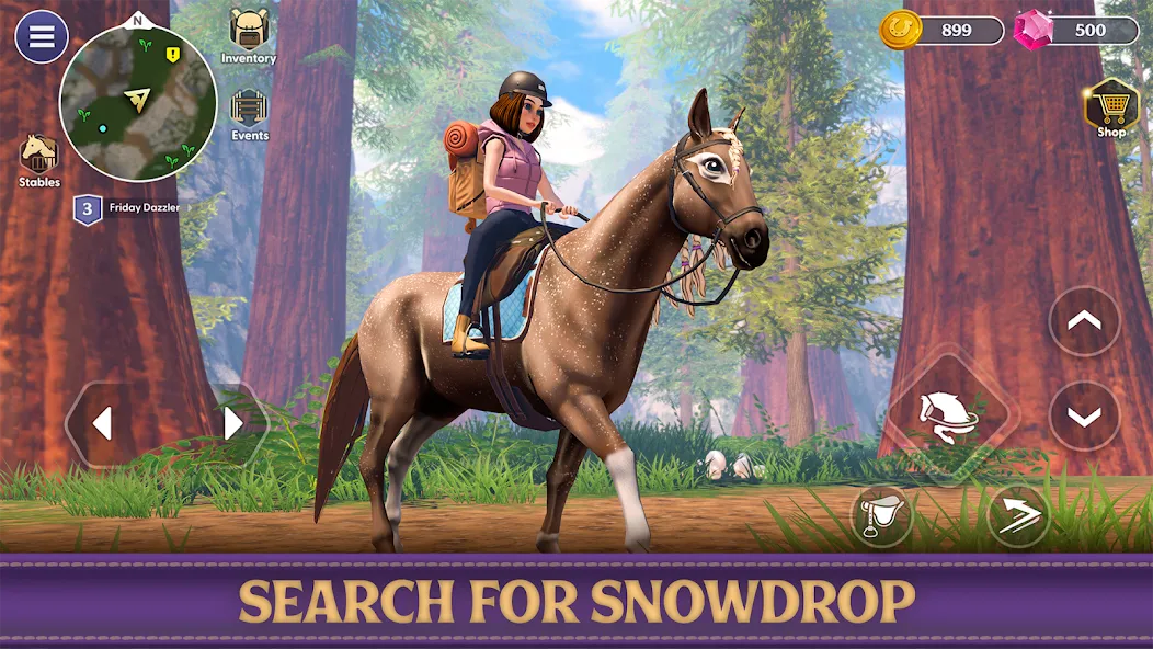 Star Equestrian - Horse Ranch (Стар Иквестриан)  [МОД Много денег] Screenshot 3