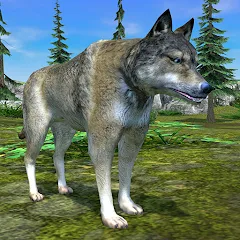 Скачать взломанную Wolf Simulator - Animal Games  [МОД Бесконечные деньги] - стабильная версия apk на Андроид