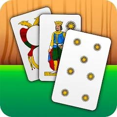 Скачать взломанную Scopa - Italian Card Game (Скопа)  [МОД Unlocked] - полная версия apk на Андроид