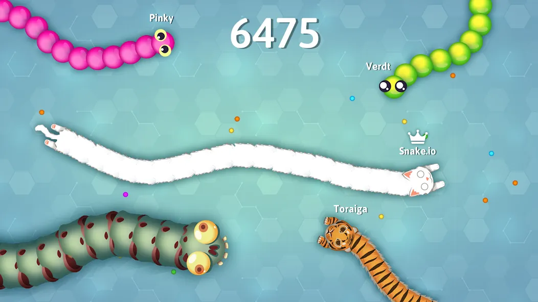 Snake.io - Fun Snake .io Games  [МОД Много монет] Screenshot 5