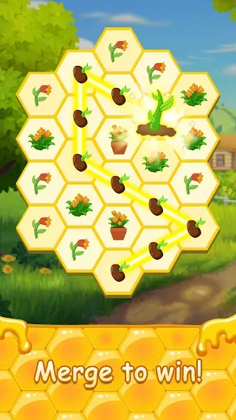 Honey Bottles - merge puzzle (Хани Ботлс)  [МОД Бесконечные деньги] Screenshot 2