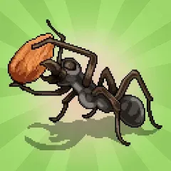 Скачать взломанную Pocket Ants: Colony Simulator (Покет Муравьи)  [МОД Много монет] - полная версия apk на Андроид