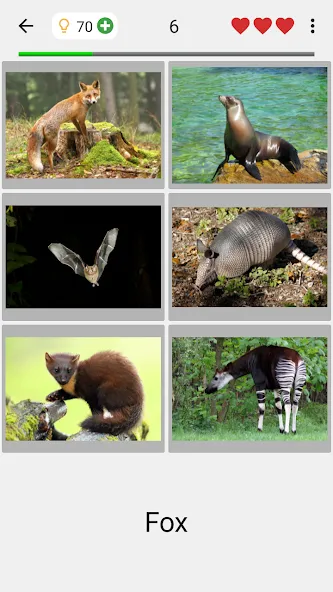 Animals Quiz Learn All Mammals  [МОД Меню] Screenshot 2