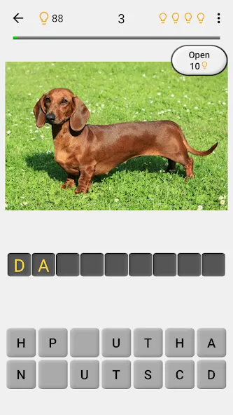 Dogs Quiz - Guess All Breeds!  [МОД Бесконечные монеты] Screenshot 2