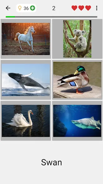 Guess Pictures and Words Quiz  [МОД Mega Pack] Screenshot 2