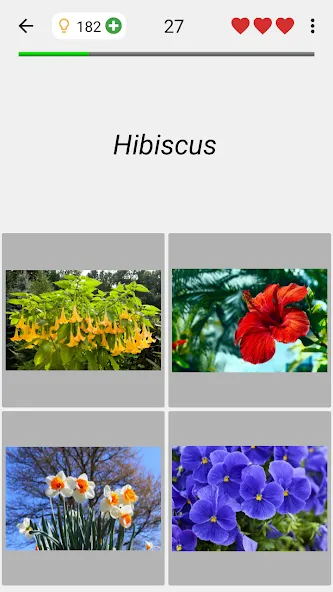 Flowers Quiz - Identify Plants  [МОД Меню] Screenshot 4