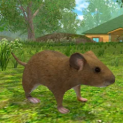 Скачать взлом Mouse Simulator :  Forest Home  [МОД Много денег] - стабильная версия apk на Андроид