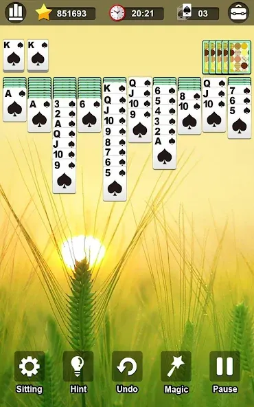 Spider Solitaire  [МОД Бесконечные монеты] Screenshot 3