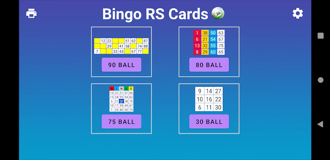 Bingo RS Cards (Бинго РС Карты)  [МОД Меню] Screenshot 1