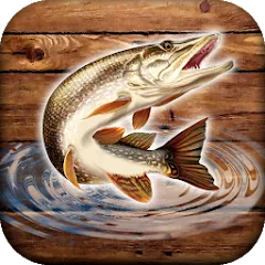 Взломанная Fish rain: sport fishing  [МОД Mega Pack] - полная версия apk на Андроид