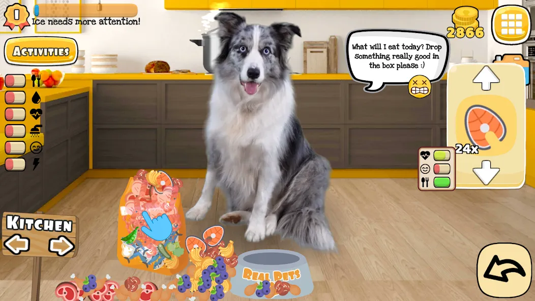 Adopt a pet : Corgi Games (Риал Петс бай Фруви)  [МОД Много монет] Screenshot 1