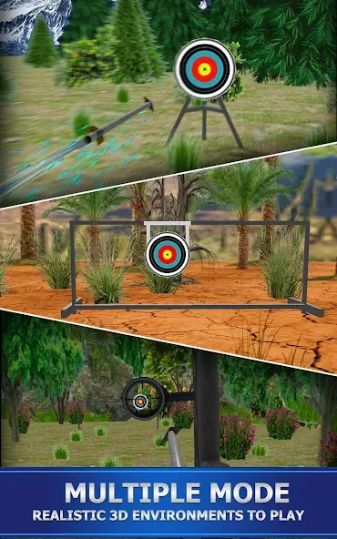 Archery Shoot  [МОД Много денег] Screenshot 1