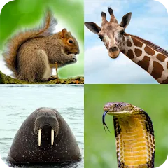 Скачать взломанную Animal Quiz: Guess the Animal  [МОД Бесконечные деньги] - последняя версия apk на Андроид