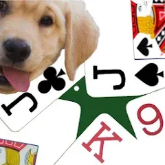 Скачать взломанную K9 Euchre (К9 Юкер)  [МОД Menu] - стабильная версия apk на Андроид