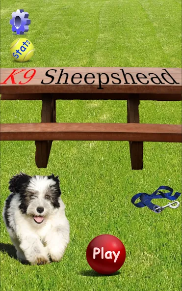 K9 Sheepshead (Schafkopf) (Шипсхед)  [МОД Все открыто] Screenshot 1