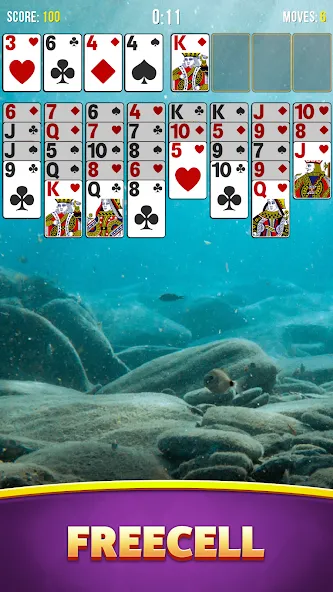 Solitaire Bliss Collection  [МОД Много денег] Screenshot 4