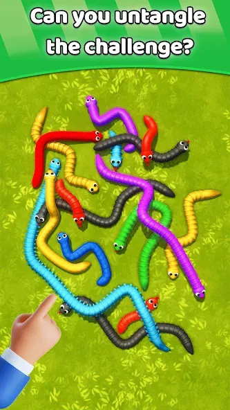 Tangled Snakes Puzzle Game (Танглед Снейк 3Д)  [МОД Все открыто] Screenshot 5