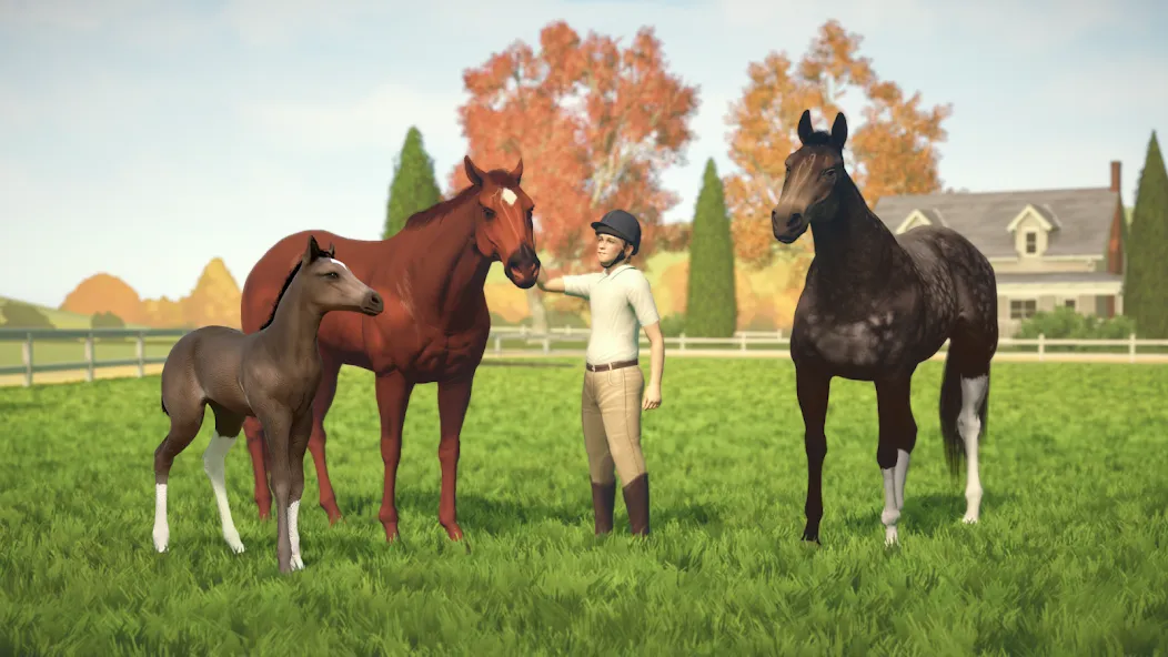 Rival Stars Horse Racing  [МОД Mega Pack] Screenshot 5