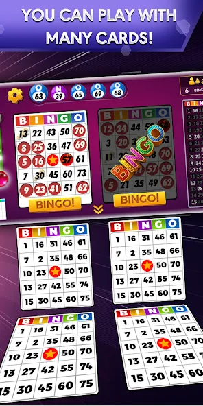 Bingo - Offline Bingo Game  [МОД Меню] Screenshot 1