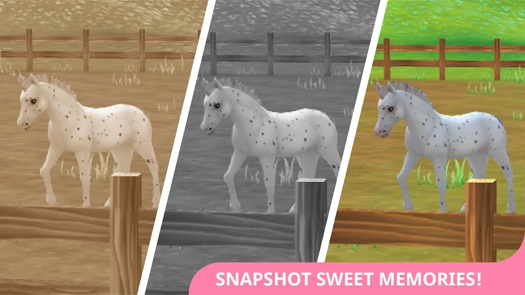 Star Stable Horses (СТар Стабл Хорсес)  [МОД Бесконечные монеты] Screenshot 4