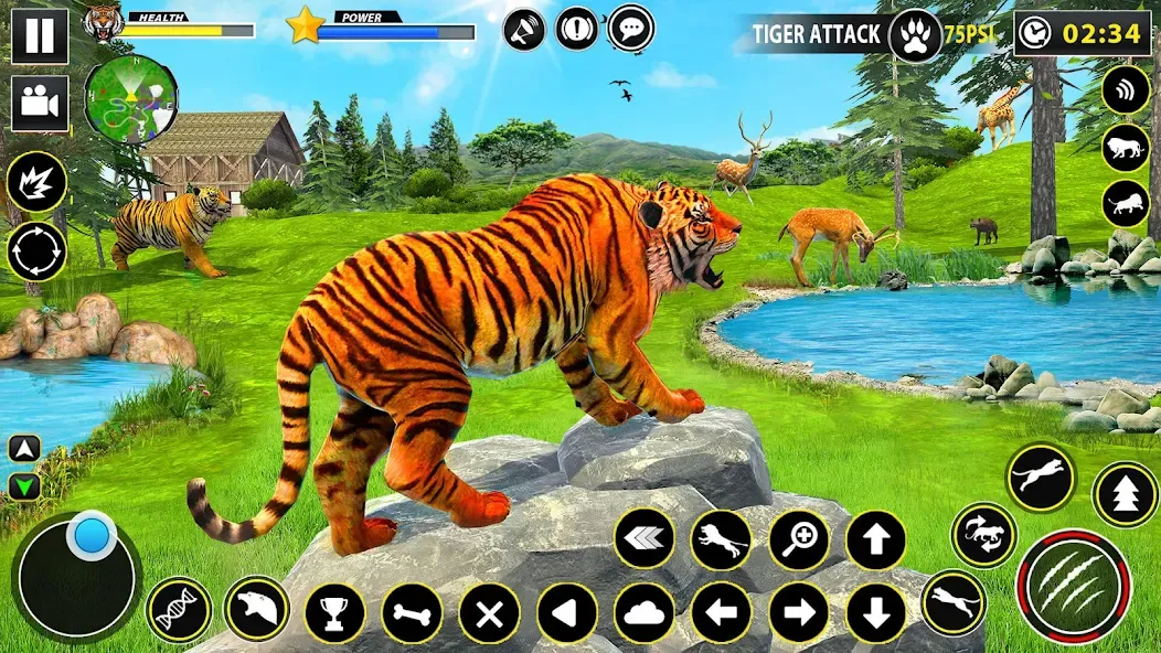 Tiger Simulator Lion games 3D (Тигровый Симулятор Игр Льва 3D)  [МОД Unlimited Money] Screenshot 4