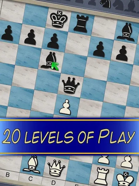 Chess V+ - board game of kings  [МОД Unlimited Money] Screenshot 5