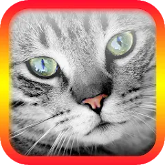 Скачать взлом Translator for Cats Prank  [МОД Unlimited Money] - стабильная версия apk на Андроид