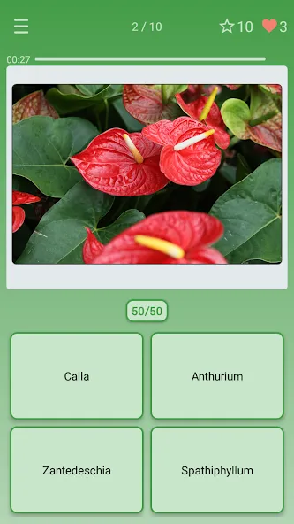 Quiz: Flowers, Plants  [МОД Mega Pack] Screenshot 1