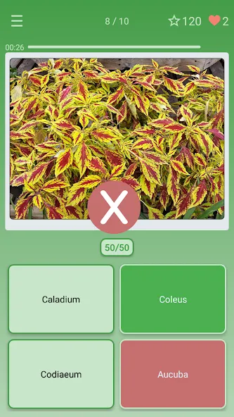 Quiz: Flowers, Plants  [МОД Mega Pack] Screenshot 3